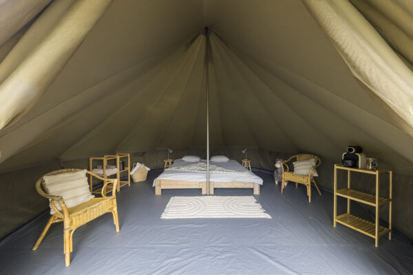 BB-DeLevensboom-1250-